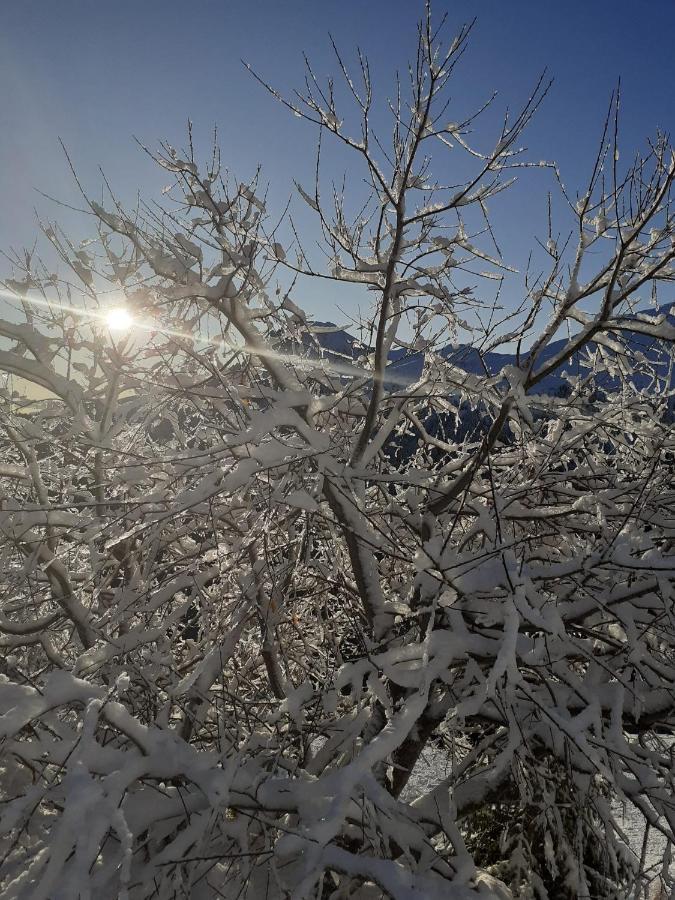 Huterhof Apt Wiesengrund 2 Riobianco Εξωτερικό φωτογραφία